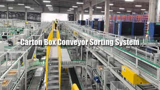 Sorteersysteem voor kartonnen dozen 02