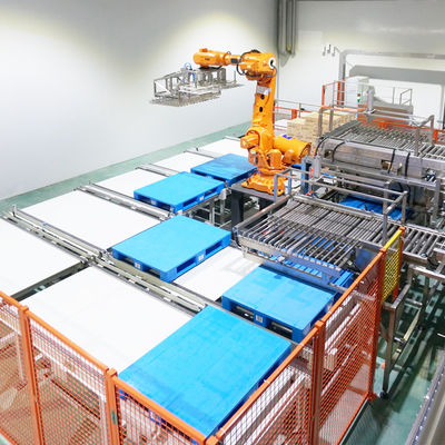 Koudopslag Pakketpakketkrane ASRS Logistiekcentrum Automatisch opslag- en ophaalsysteem