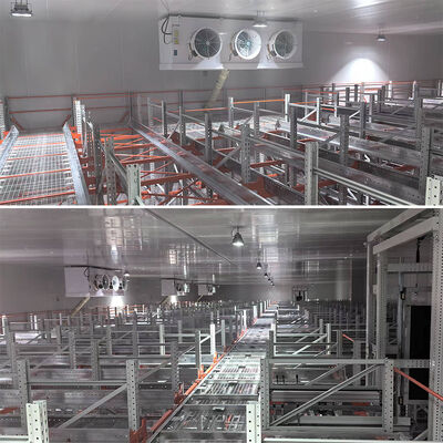 Vierwegshuttlepallet ASRS koelopslag Pakhuis Automatisch opslag- en ophaalsysteem Pallet Runner Racking