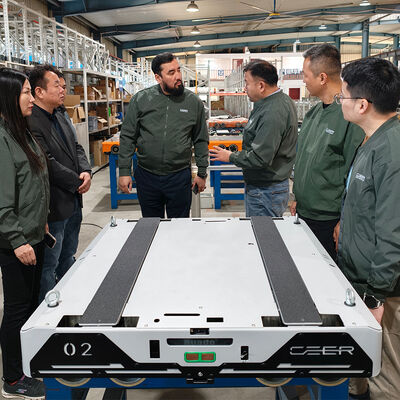 Vierweg Radio Shuttle Car voor Vierweg Shuttle Pallet ASRS Automatisch Opslag- en Terughaalsysteem Pallet Runner Racking